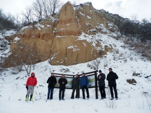 7 Lesni profil na obali Dunava